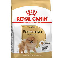 Royal Canin - Croquettes Adult Spitz Nain Pour Chien - 3Kg