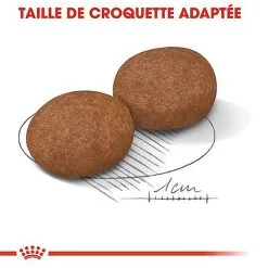 Royal Canin - Croquettes Medium Adulte 7+ Pour Chien 15 Royal Canin - Croquettes Medium Adulte 7+ Pour Chien -Nourriture pour chien Soldes 66800
