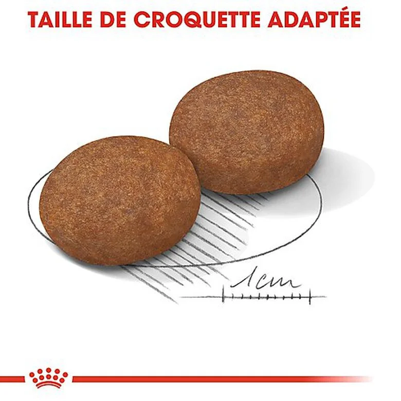 Royal Canin - Croquettes Medium Adulte 7+ Pour Chien 8 Royal Canin - Croquettes Medium Adulte 7+ Pour Chien – Image 6
