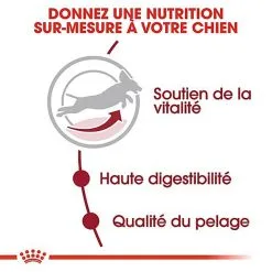 Royal Canin - Croquettes Medium Adulte 7+ Pour Chien 14 Royal Canin - Croquettes Medium Adulte 7+ Pour Chien -Nourriture pour chien Soldes 66802