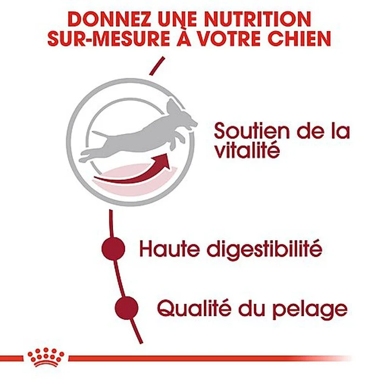 Royal Canin - Croquettes Medium Adulte 7+ Pour Chien 7 Royal Canin - Croquettes Medium Adulte 7+ Pour Chien – Image 5