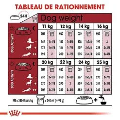 Royal Canin - Croquettes Medium Adulte 7+ Pour Chien 16 Royal Canin - Croquettes Medium Adulte 7+ Pour Chien -Nourriture pour chien Soldes 66803