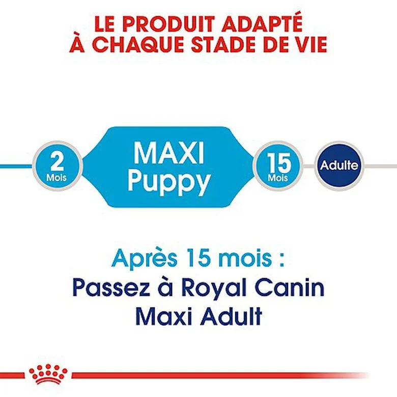 Royal Canin - Croquettes Maxi Puppy Pour Chiot 8 Royal Canin - Croquettes Maxi Puppy Pour Chiot – Image 6