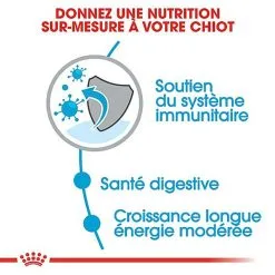 Royal Canin - Croquettes Maxi Puppy Pour Chiot 18 Royal Canin - Croquettes Maxi Puppy Pour Chiot -Nourriture pour chien Soldes 66815