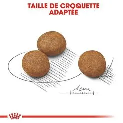 Royal Canin - Croquettes Maxi Puppy Pour Chiot 19 Royal Canin - Croquettes Maxi Puppy Pour Chiot -Nourriture pour chien Soldes 66817