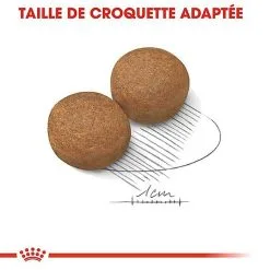 Royal Canin - Croquettes Maxi Adult Pour Chien 16 Royal Canin - Croquettes Maxi Adult Pour Chien -Nourriture pour chien Soldes 66830