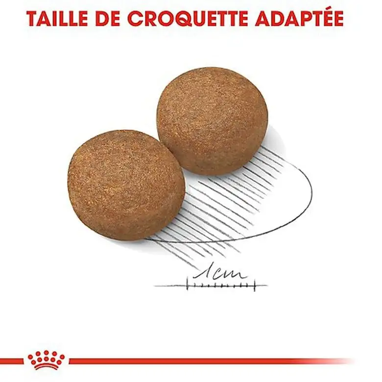 Royal Canin - Croquettes Maxi Adult Pour Chien 9 Royal Canin - Croquettes Maxi Adult Pour Chien – Image 7