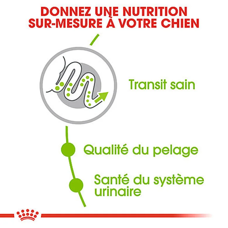 Royal Canin - Croquettes X-Small Pour Chien Adulte De Petite Taille - 1,5Kg 6 Royal Canin - Croquettes X-Small Pour Chien Adulte De Petite Taille - 1,5Kg – Image 4