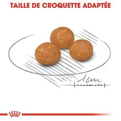 Royal Canin - Croquettes X-Small Pour Chien Adulte De Petite Taille - 1,5Kg 13 Royal Canin - Croquettes X-Small Pour Chien Adulte De Petite Taille - 1,5Kg -Nourriture pour chien Soldes 66884