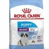 Royal Canin - Croquettes Giant Puppy Pour Chiot - 15Kg 1 Royal Canin - Croquettes Giant Puppy Pour Chiot - 15Kg -Nourriture pour chien Soldes 66957