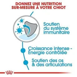 Royal Canin - Croquettes Giant Puppy Pour Chiot - 15Kg 10 Royal Canin - Croquettes Giant Puppy Pour Chiot - 15Kg -Nourriture pour chien Soldes 66960