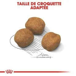 Royal Canin - Croquettes Giant Puppy Pour Chiot - 15Kg 11 Royal Canin - Croquettes Giant Puppy Pour Chiot - 15Kg -Nourriture pour chien Soldes 66961