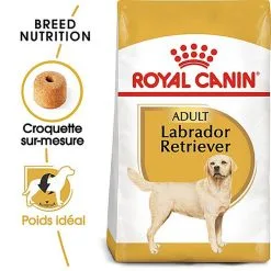 Royal Canin - Croquettes Labrador Pour Chien Adulte 11 Royal Canin - Croquettes Labrador Pour Chien Adulte -Nourriture pour chien Soldes 67030