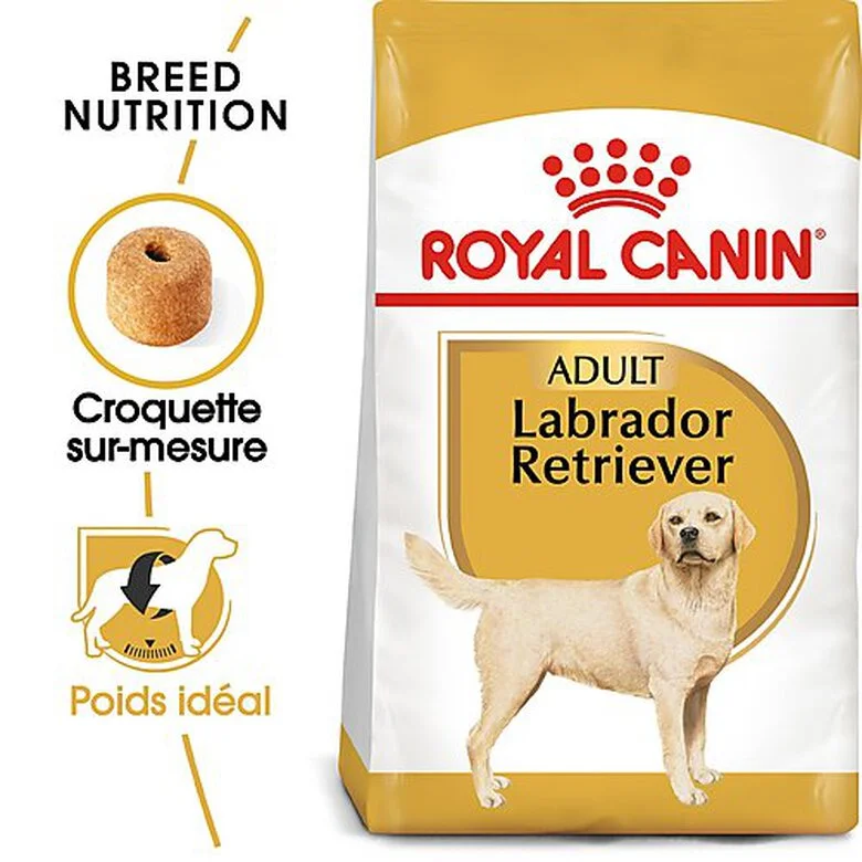 Royal Canin - Croquettes Labrador Pour Chien Adulte 5 Royal Canin - Croquettes Labrador Pour Chien Adulte – Image 3