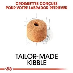 Royal Canin - Croquettes Labrador Pour Chien Adulte 12 Royal Canin - Croquettes Labrador Pour Chien Adulte -Nourriture pour chien Soldes 67031