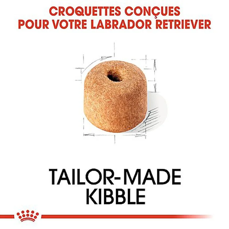 Royal Canin - Croquettes Labrador Pour Chien Adulte 6 Royal Canin - Croquettes Labrador Pour Chien Adulte – Image 4