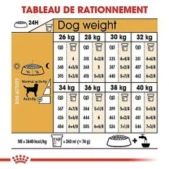Royal Canin - Croquettes Labrador Pour Chien Adulte 14 Royal Canin - Croquettes Labrador Pour Chien Adulte -Nourriture pour chien Soldes 67033