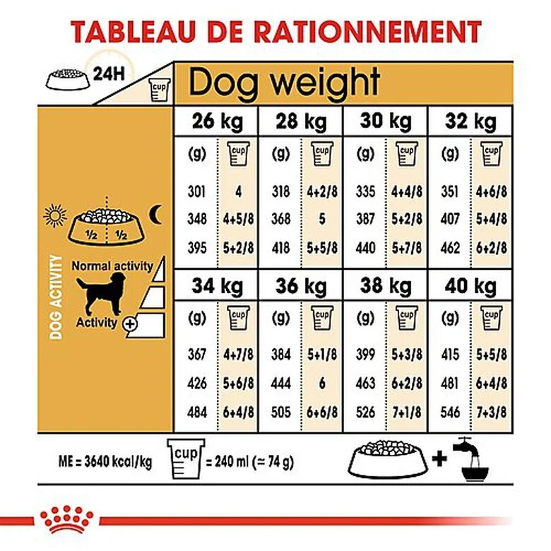 Royal Canin - Croquettes Labrador Pour Chien Adulte 8 Royal Canin - Croquettes Labrador Pour Chien Adulte – Image 6