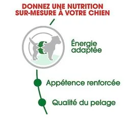 Royal Canin - Croquettes Mini Adult Pour Chien 14 Royal Canin - Croquettes Mini Adult Pour Chien -Nourriture pour chien Soldes 67050