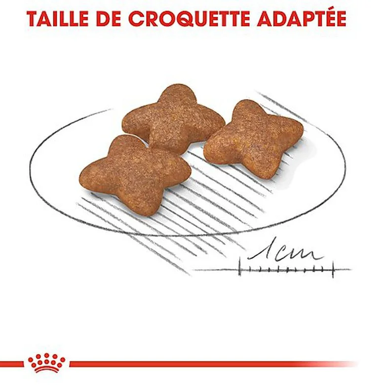 Royal Canin - Croquettes Mini Adult Pour Chien 8 Royal Canin - Croquettes Mini Adult Pour Chien – Image 6