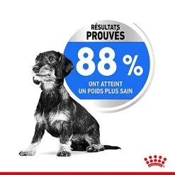 Royal Canin - Croquettes Mini Light Weight Care Pour Chien - 8Kg 13 Royal Canin - Croquettes Mini Light Weight Care Pour Chien - 8Kg -Nourriture pour chien Soldes 67070