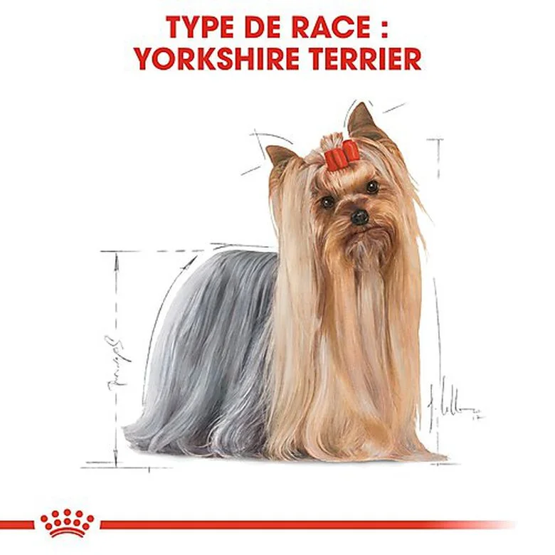 Royal Canin - Croquettes Yorkshire Terrier Pour Chien Adulte 6 Royal Canin - Croquettes Yorkshire Terrier Pour Chien Adulte – Image 4