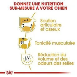 Royal Canin - Croquettes Teckel Pour Chien Adulte - 1,5Kg 8 Royal Canin - Croquettes Teckel Pour Chien Adulte - 1,5Kg -Nourriture pour chien Soldes 67101
