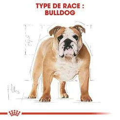 Royal Canin - Croquettes Bulldog Pour Chien Adulte 10 Royal Canin - Croquettes Bulldog Pour Chien Adulte -Nourriture pour chien Soldes 67118