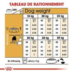 Royal Canin - Croquettes Bulldog Pour Chien Adulte 14 Royal Canin - Croquettes Bulldog Pour Chien Adulte -Nourriture pour chien Soldes 67122
