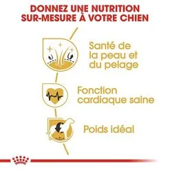 Royal Canin - Croquettes Golden Retriever Pour Chien Adulte 13 Royal Canin - Croquettes Golden Retriever Pour Chien Adulte -Nourriture pour chien Soldes 67282