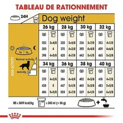 Royal Canin - Croquettes Golden Retriever Pour Chien Adulte 14 Royal Canin - Croquettes Golden Retriever Pour Chien Adulte -Nourriture pour chien Soldes 67283