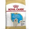 Royal Canin - Croquettes Golden Retriever Junior Pour Chiot 1 Royal Canin - Croquettes Golden Retriever Junior Pour Chiot -Nourriture pour chien Soldes 67327
