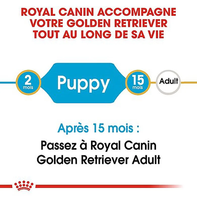 Royal Canin - Croquettes Golden Retriever Junior Pour Chiot 4 Royal Canin - Croquettes Golden Retriever Junior Pour Chiot – Image 2