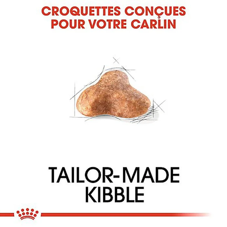 Royal Canin - Croquettes Carlin Pour Chien Adulte - 1,5Kg 6 Royal Canin - Croquettes Carlin Pour Chien Adulte - 1,5Kg – Image 4