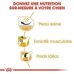 Royal Canin - Croquettes Carlin Pour Chien Adulte - 1,5Kg 12 Royal Canin - Croquettes Carlin Pour Chien Adulte - 1,5Kg -Nourriture pour chien Soldes 67337