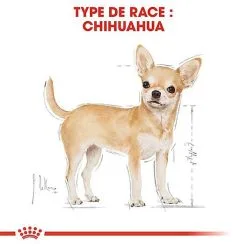 Royal Canin - Croquettes Chihuahua Pour Chien Adulte -Nourriture pour chien Soldes 67347