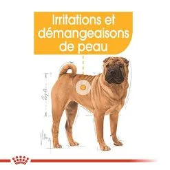 Royal Canin - Croquettes Medium Dermacomfort Pour Chien 12 Royal Canin - Croquettes Medium Dermacomfort Pour Chien -Nourriture pour chien Soldes 67443