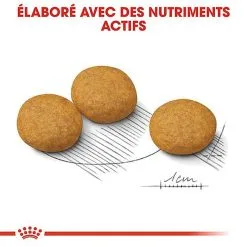 Royal Canin - Croquettes Medium Dermacomfort Pour Chien 14 Royal Canin - Croquettes Medium Dermacomfort Pour Chien -Nourriture pour chien Soldes 67445