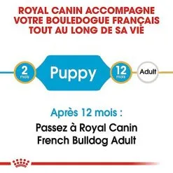Royal Canin - Croquettes Bouledogue Français Junior Pour Chiot -Nourriture pour chien Soldes 67465