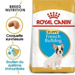 Royal Canin - Croquettes Bouledogue Français Junior Pour Chiot -Nourriture pour chien Soldes 67466