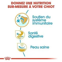 Royal Canin - Croquettes Bouledogue Français Junior Pour Chiot -Nourriture pour chien Soldes 67468