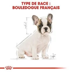 Royal Canin - Croquettes Bouledogue Français Junior Pour Chiot -Nourriture pour chien Soldes 67469