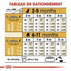 Royal Canin - Croquettes Bouledogue Français Junior Pour Chiot -Nourriture pour chien Soldes 67470