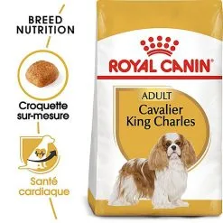 Royal Canin - Croquettes Cavalier King Charles Pour Chien Adulte 15 Royal Canin - Croquettes Cavalier King Charles Pour Chien Adulte -Nourriture pour chien Soldes 67593