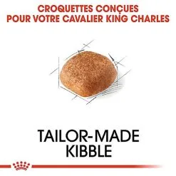 Royal Canin - Croquettes Cavalier King Charles Pour Chien Adulte 16 Royal Canin - Croquettes Cavalier King Charles Pour Chien Adulte -Nourriture pour chien Soldes 67594