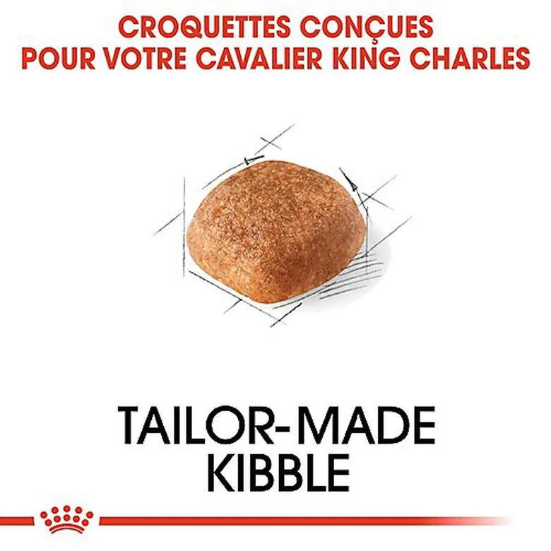 Royal Canin - Croquettes Cavalier King Charles Pour Chien Adulte 8 Royal Canin - Croquettes Cavalier King Charles Pour Chien Adulte – Image 6