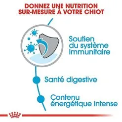 Royal Canin - Croquettes Mini Puppy Pour Chiot 20 Royal Canin - Croquettes Mini Puppy Pour Chiot -Nourriture pour chien Soldes 67632