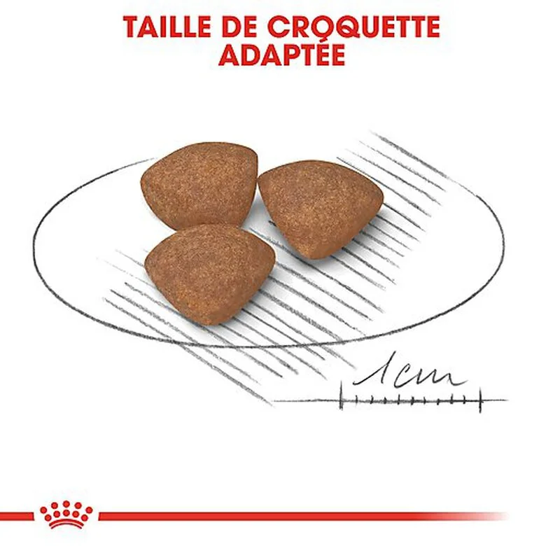 Royal Canin - Croquettes Mini Puppy Pour Chiot 11 Royal Canin - Croquettes Mini Puppy Pour Chiot – Image 9