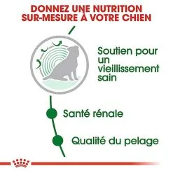 Royal Canin - Croquettes Mini Ageing 12+ Pour Chien Senior - 1,5Kg 12 Royal Canin - Croquettes Mini Ageing 12+ Pour Chien Senior - 1,5Kg -Nourriture pour chien Soldes 67639