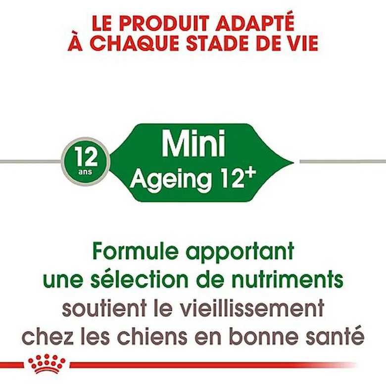 Royal Canin - Croquettes Mini Ageing 12+ Pour Chien Senior - 3,5Kg 5 Royal Canin - Croquettes Mini Ageing 12+ Pour Chien Senior - 3,5Kg – Image 3